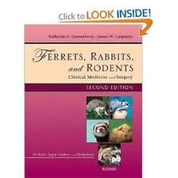 Amazon.co.jp: Ferrets, Rabbits and Rodents: Clinical
